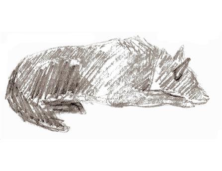 Quick pencil sketch of a black border-collie cross lying with her head on her paws.  Rather abstract image in silhouette. Original is pencil on paper.  Quarter Page size 1650 x 1275px (300ppi).  Prints at 5.5 x 4.25".