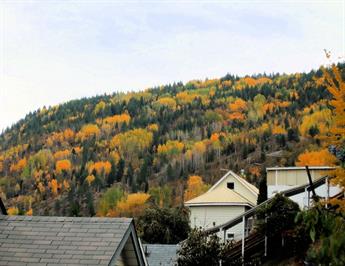 Autumn Hillside Trail 1