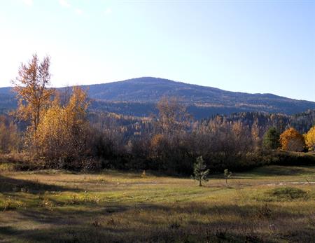 Behind an open, grassy field and a fringe of fall-tinted trees, a forested mountain shows touches of autumn colour under a pale blue sky.  Full Page size 3300 x 2550px (300ppi); prints at 11 x 8.5".
