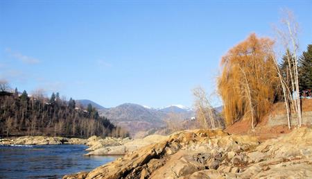 cream- and honey-coloured rocks, a golden weeping willow in the foreground, dark water, a distant hillside of dark evergreens, hazy far-off mountains in the background; and over all a clear blue autumn sky.  Wallpaper size 1366 x 768px.
