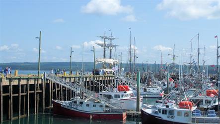The wharf in Digby, Nova Scotia is crowded with small fishing boats, with the masts and sails of a Tall Ship visible on the far side of the wharf.  YouTube slideshow size 1280 x 720px.