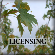 Licensing badge.