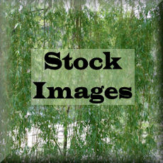 Stock Images badge