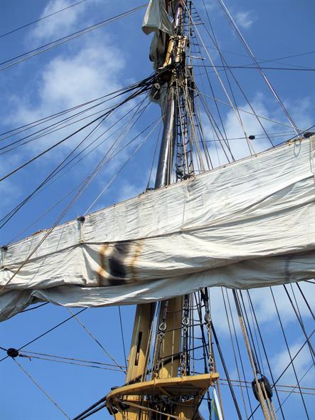 Mast and one partly-furled sail of the Picton Castle, a "tall ship" (full-size sailing ship).  Note the small platform and rope ladders for sailors to climb the rigging.  Bordered Page size 2250 x 3000px (300ppi).  Actual image size 7.5 x 10".